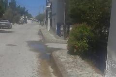 Μιλούνια από ακρίδες ο Άη Στράτης [video + photos]