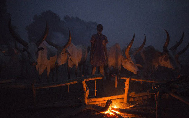 Φυλή που πλένεται με ούρα αγελάδας και αλείφεται με τέφρα [photos] - Φωτογραφία 2