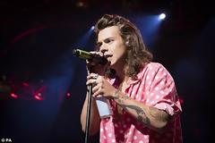 Θα πάθετε πλάκα! Δείτε τον Harry Styles με ΚΟΝΤΟ μαλλί! [photo]