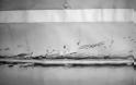 «Στοιχειωμένες» φωτογραφίες του Τιτανικού λίγα μόλις λεπτά μετά την ανεύρεση του [photos] - Φωτογραφία 7