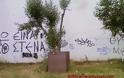 Κλειδώνουν τις λαμαρίνες στα δέντρα στη πόλη των Τρικάλων - Φωτογραφία 2