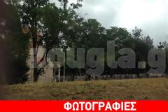 Κοσμοπλημμύρα στο Πεντάγωνο για την εικόνα της Παναγίας