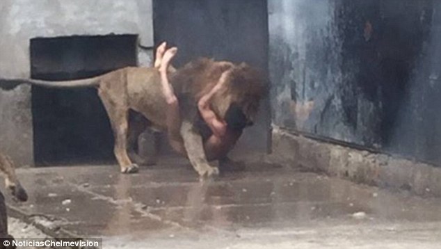 ΣΟΚ! Μπήκε σε ζωολογικό κήπο για να αυτοκτονήσει. Γιατί αφέθηκε στα λιοντάρια για να τον φάνε; [photos] - Φωτογραφία 2