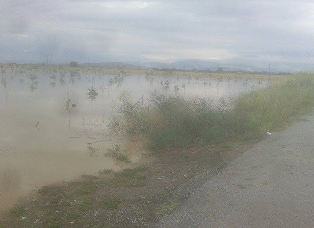 Κινδύνευσαν χωριά, καταστράφηκαν καλλιέργειες στον κάμπο της Καρδίτσας [photos] - Φωτογραφία 3