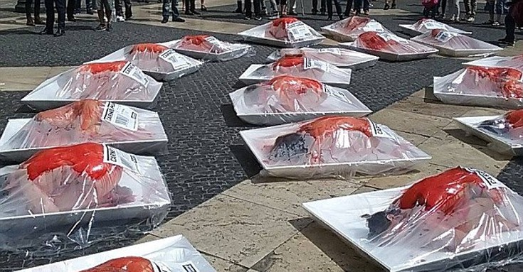 Ακτιβιστές μετέτρεψαν το σώμα τους σε «ανθρώπινο κρέας» προς πώληση - Φωτογραφία 3