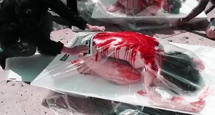 Ακτιβιστές μετέτρεψαν το σώμα τους σε «ανθρώπινο κρέας» προς πώληση - Φωτογραφία 8