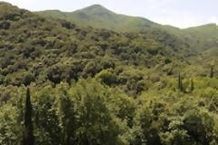 8460 - Χρονολόγιο Αγίου Όρους (άθρησκου, κατά δήλωσή του, συγγραφέα)
