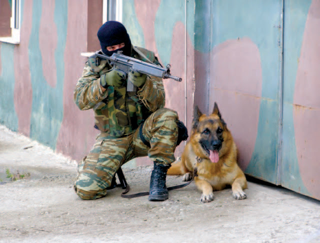 Πρόγραμμα εργασίας συνοδών στρατιωτικά εκπαιδευμένων σκύλων - Φωτογραφία 1