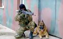 Πρόγραμμα εργασίας συνοδών στρατιωτικά εκπαιδευμένων σκύλων - Φωτογραφία 1