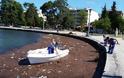 Βόλος: Είκοσι τόνοι σκουπίδια κατέληξαν στη θάλασσα από την κακοκαιρία