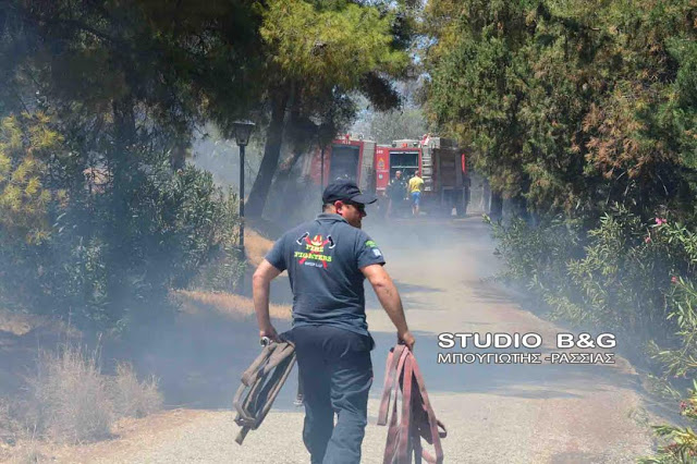 Και πάλι φωτιά στο Αργος [photos] - Φωτογραφία 2