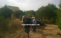 ΝΩΡΙΤΕΡΑ: Ντελαπάρισε αυτοκίνητο μέσα σε χωράφι έξω από το Άργος [photos]