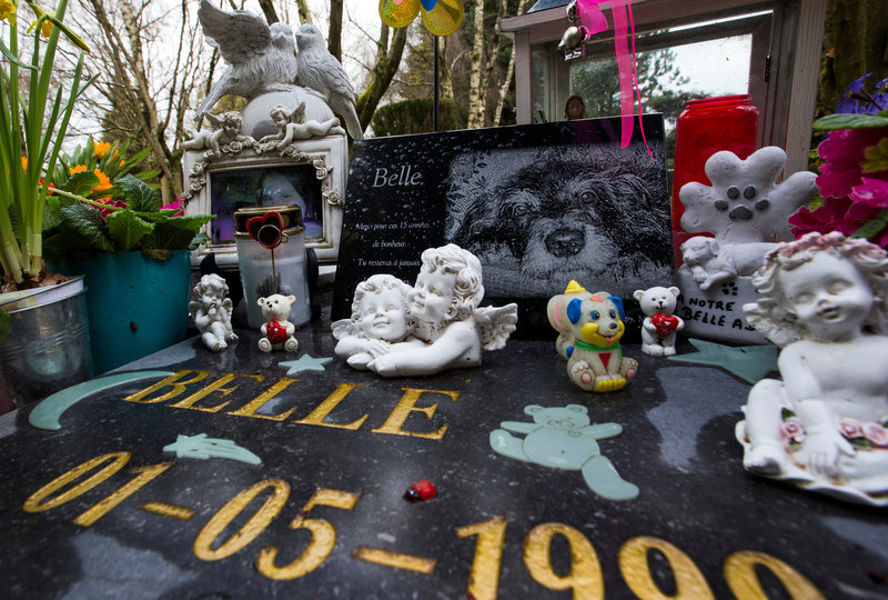 Ένα σπίτι στο Βέλγιο αναλαμβάνει κηδείες και ταρίχευση κατοικίδιων ζώων - Φωτογραφία 7