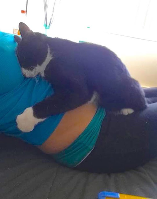 Η Γάτα επέμενε να αγκαλιάζει την κοιλιά της εγκύου ιδιοκτήτριάς της - Δείτε όμως τι έγινε όταν γέννησε… [photos] - Φωτογραφία 3