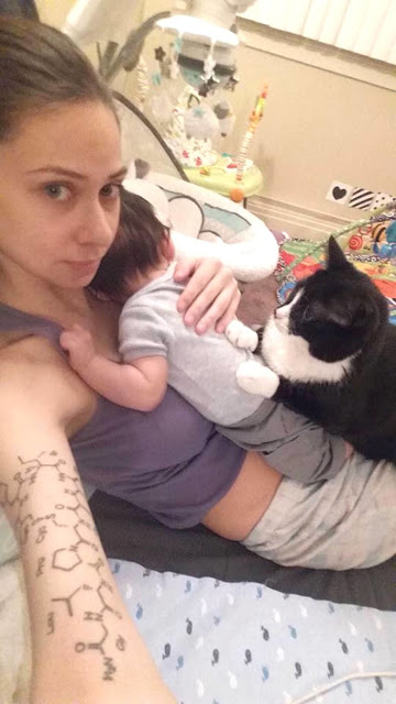 Η Γάτα επέμενε να αγκαλιάζει την κοιλιά της εγκύου ιδιοκτήτριάς της - Δείτε όμως τι έγινε όταν γέννησε… [photos] - Φωτογραφία 6