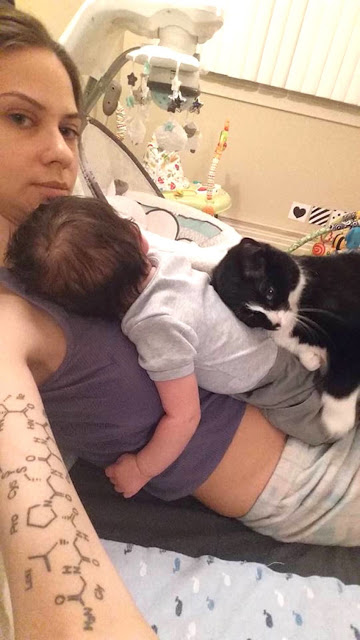 Η Γάτα επέμενε να αγκαλιάζει την κοιλιά της εγκύου ιδιοκτήτριάς της - Δείτε όμως τι έγινε όταν γέννησε… [photos] - Φωτογραφία 7