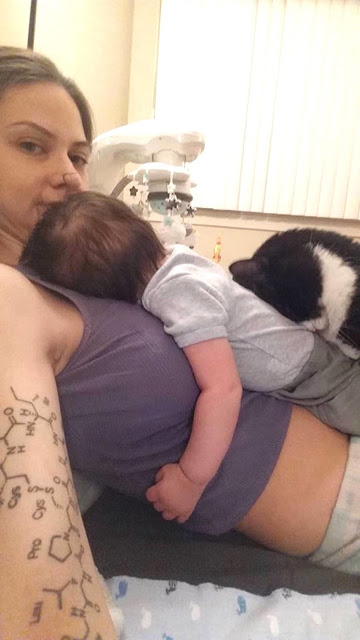 Η Γάτα επέμενε να αγκαλιάζει την κοιλιά της εγκύου ιδιοκτήτριάς της - Δείτε όμως τι έγινε όταν γέννησε… [photos] - Φωτογραφία 9