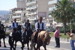 Άλογα και άμαξες έκαναν παρέλαση στο κέντρο του Βόλου - Εντυπωσίασε το θέαμα