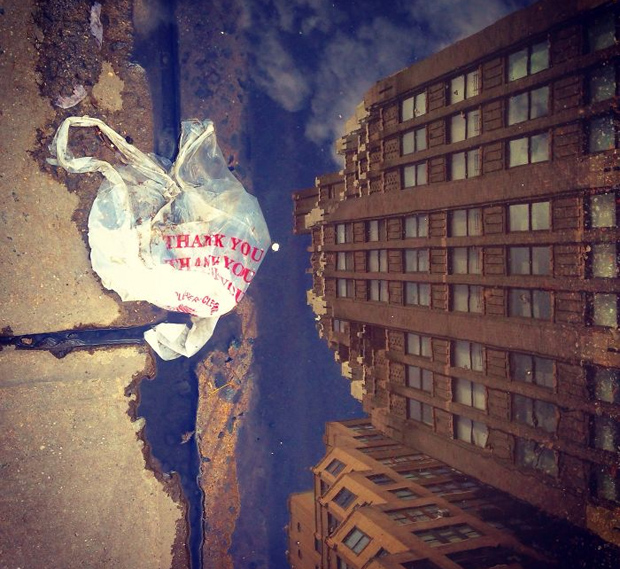 Ακτιβιστές κατασκοπεύουν πλαστικές σακούλες στους δρόμους της Ν. Υόρκης - Φωτογραφία 2