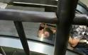 Κυλιόμενη σκάλα «ρούφηξε» άνδρα στην Κίνα! Βίντεο ΣΟΚ!