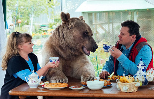 Αρκούδα ζει σαν… κατοικίδιο! [photos+video] - Φωτογραφία 2