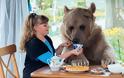 Αρκούδα ζει σαν… κατοικίδιο! [photos+video] - Φωτογραφία 6