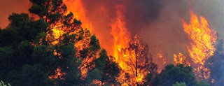 Καλά κρατεί η μεγάλη φωτιά στην Κίσσαμο- Στάχτη εκατοντάδες στρέμματα δάσους - Φωτογραφία 1