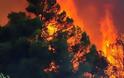 Καλά κρατεί η μεγάλη φωτιά στην Κίσσαμο- Στάχτη εκατοντάδες στρέμματα δάσους