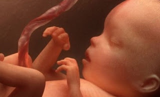Πότε αποκτά ψυχή το έμβρυο; - Φωτογραφία 1