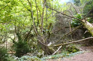 Μαύρη Σπηλιά - Προυσός Ευρυτανίας [video] - Φωτογραφία 1