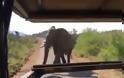 Επίθεση ελέφαντα στο τζιπ του Σβαρτσενέγκερ [video] - Φωτογραφία 1