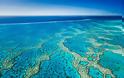 Ο Μεγάλος Κοραλλιογενής Ύφαλος πεθαίνει και η κυβέρνηση το κρύβει