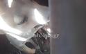 Φρίκη: κρέμασαν σκυλί από φρεάτιο στα Χανιά - Φωτογραφία 2
