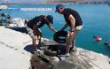 Οι Loutraki Divers καθάρισαν το βυθό στο λιμάνι του Ναυπλίου [photos] - Φωτογραφία 10