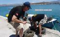 Οι Loutraki Divers καθάρισαν το βυθό στο λιμάνι του Ναυπλίου [photos] - Φωτογραφία 3