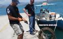 Οι Loutraki Divers καθάρισαν το βυθό στο λιμάνι του Ναυπλίου [photos] - Φωτογραφία 5