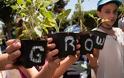 Greenpeace Greece: Τα κάναμε σαλάτα στο Πάρκο Φλοίσβου! - Φωτογραφία 2