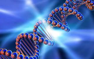 Επιστήμονες τελειοποιούν τον άνθρωπο χρησιμοποιώντας συνθετικό DNA - Φωτογραφία 1
