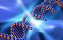 Επιστήμονες τελειοποιούν τον άνθρωπο χρησιμοποιώντας συνθετικό DNA