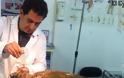 Απελευθερώθηκε υγιής στη Λέρο η καρέτα – καρέτα που βρέθηκε τραυματισμένη στο Φαρμακονήσι [video] - Φωτογραφία 3