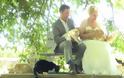 Γάμος με καλεσμένους...1100 γάτες! [photos+video] - Φωτογραφία 3