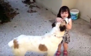 Μάθετε στα παιδιά σας να αγαπούν και να σέβονται τα ζώα... [video] - Φωτογραφία 1