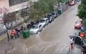 Κάδος στη Θεσσαλονίκη περνάει με κόκκινο φανάρι την Τσιμισκή [video]