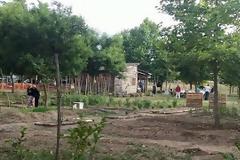 Γιορτή των Ενεργών Πολιτών στο Αισθητικό Άλσος για το τέλος της σεζόν