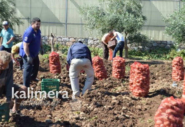 Ανέβηκε στο τρακτέρ και μάζεψε πατάτες ο Μητροπολίτης Αλέξανδρος στο Λεωνίδιο [photo+video] - Φωτογραφία 3