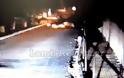 Φθιώτιδα: Αγριογούρουνα έκοβαν βόλτες νυχτιάτικα μέσα στις αυλές του χωριού [video]