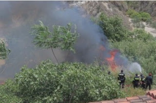 Σε ύφεση η φωτιά στην Κνωσό-Δεκάδες στρέμματα έχουν γίνει… στάχτη [photos] - Φωτογραφία 1