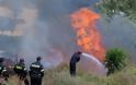 Σε ύφεση η φωτιά στην Κνωσό-Δεκάδες στρέμματα έχουν γίνει… στάχτη [photos] - Φωτογραφία 2