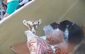 Με επιτυχία διεξήχθη το ΙΒ΄ Διενοριακό Πρωτάθλημα Στίβου, από τον Αθλητικό Οργανισμό της Ιεράς Μητροπόλεως Γλυφάδας Ε. Β. Β. και Β. - Φωτογραφία 2