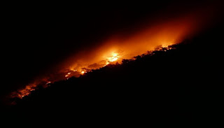 Ολονύχτια μάχη με τη φωτιά - Από τύχη δεν κάηκαν σπίτια στην Κρήτη - Φωτογραφία 1